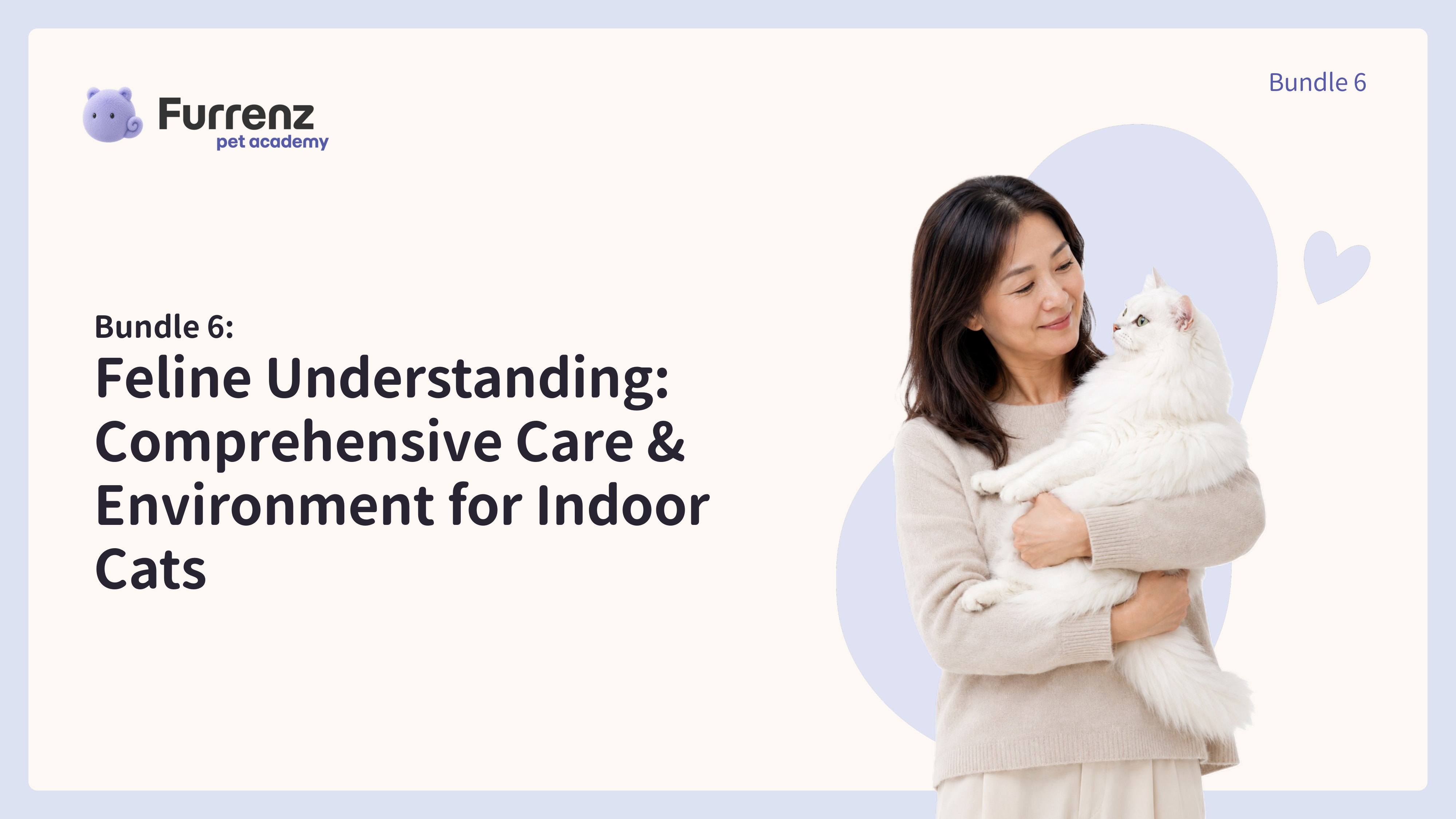 Feline Understanding: Comprehensive Care & Environment for Indoor Cats