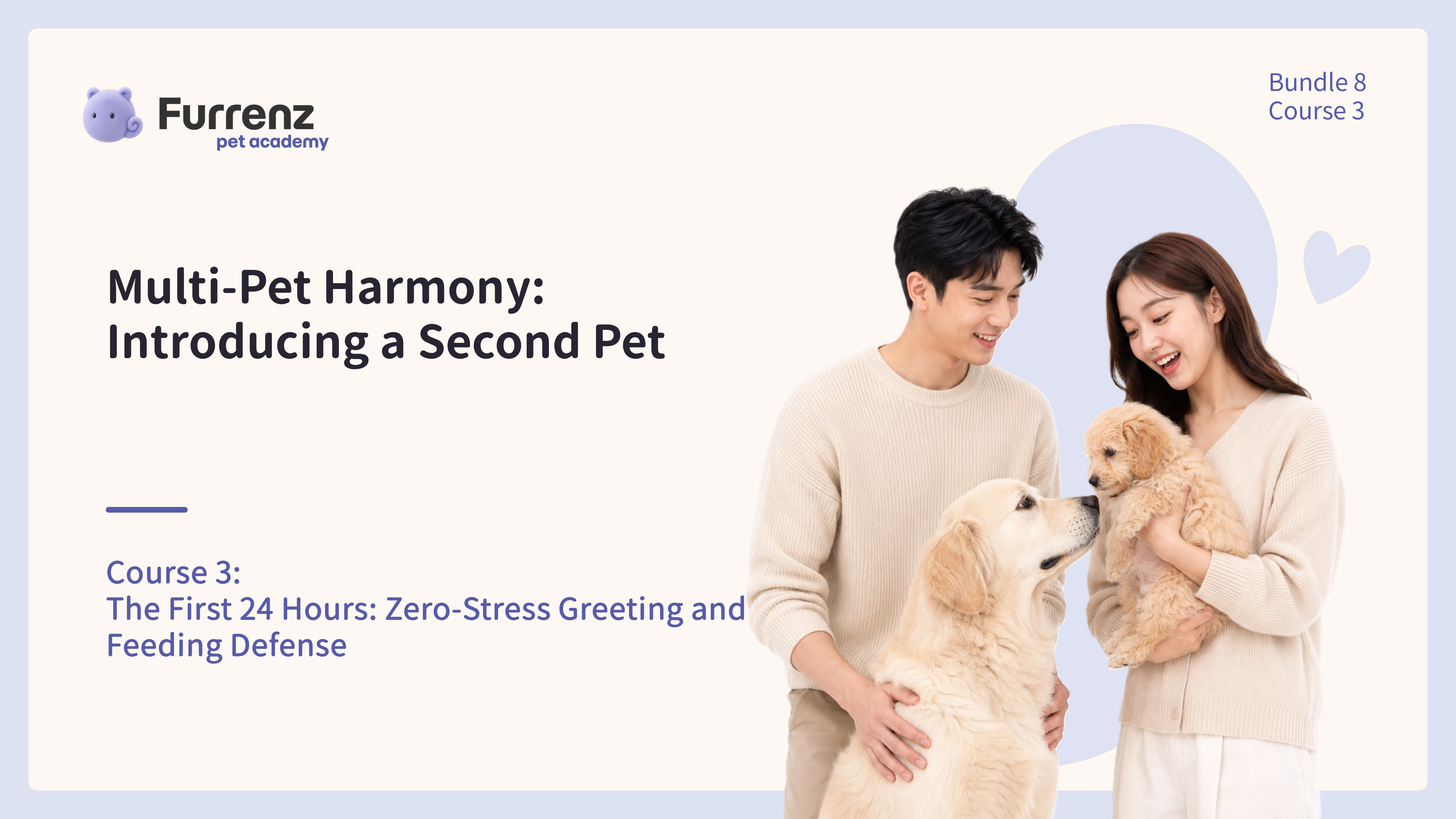 The First 24 Hours: Zero-Stress Greeting and Feeding Defense