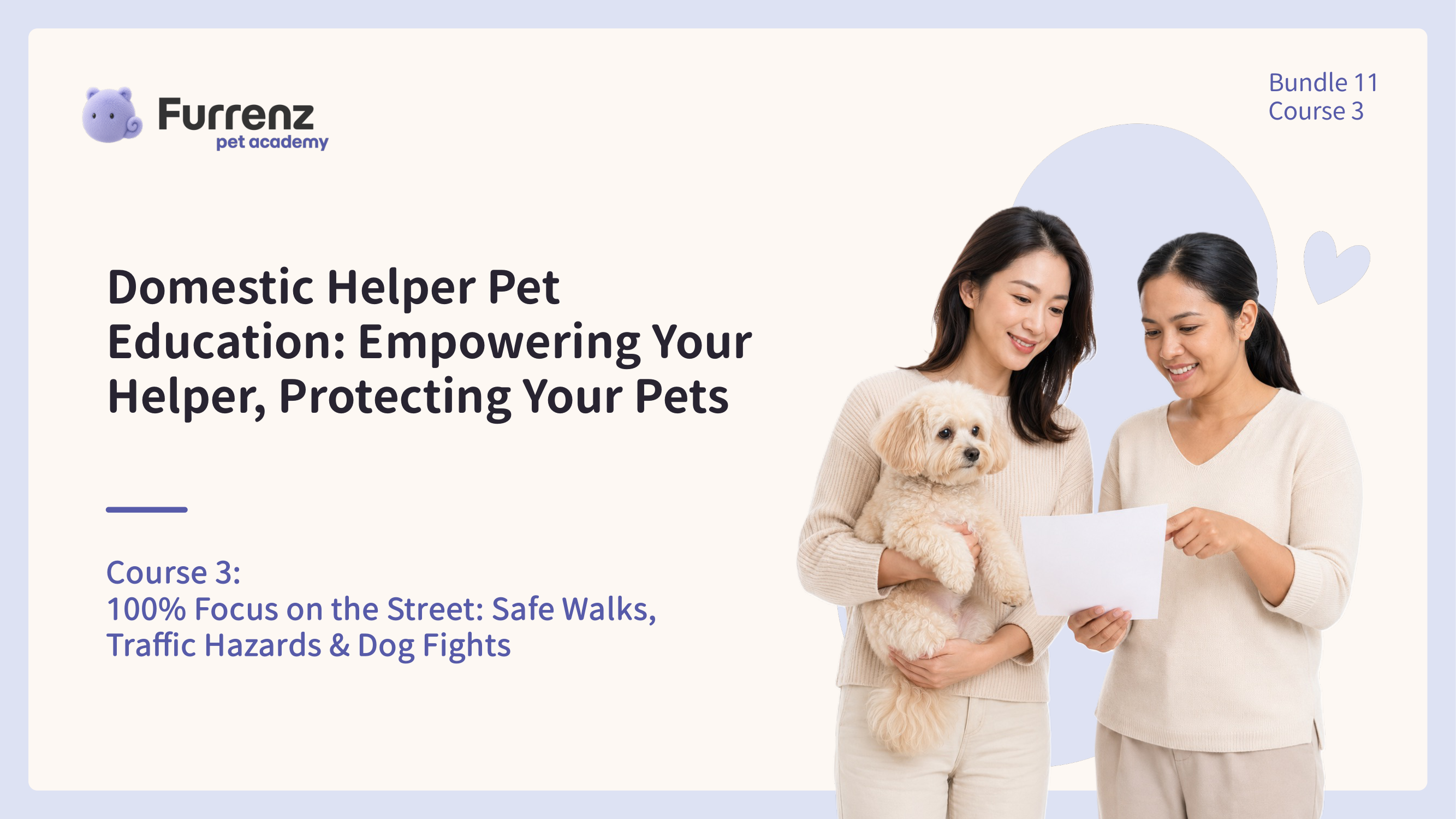 100% Focus on the Street: Safe Walks, Traffic Hazards & Dog Fights