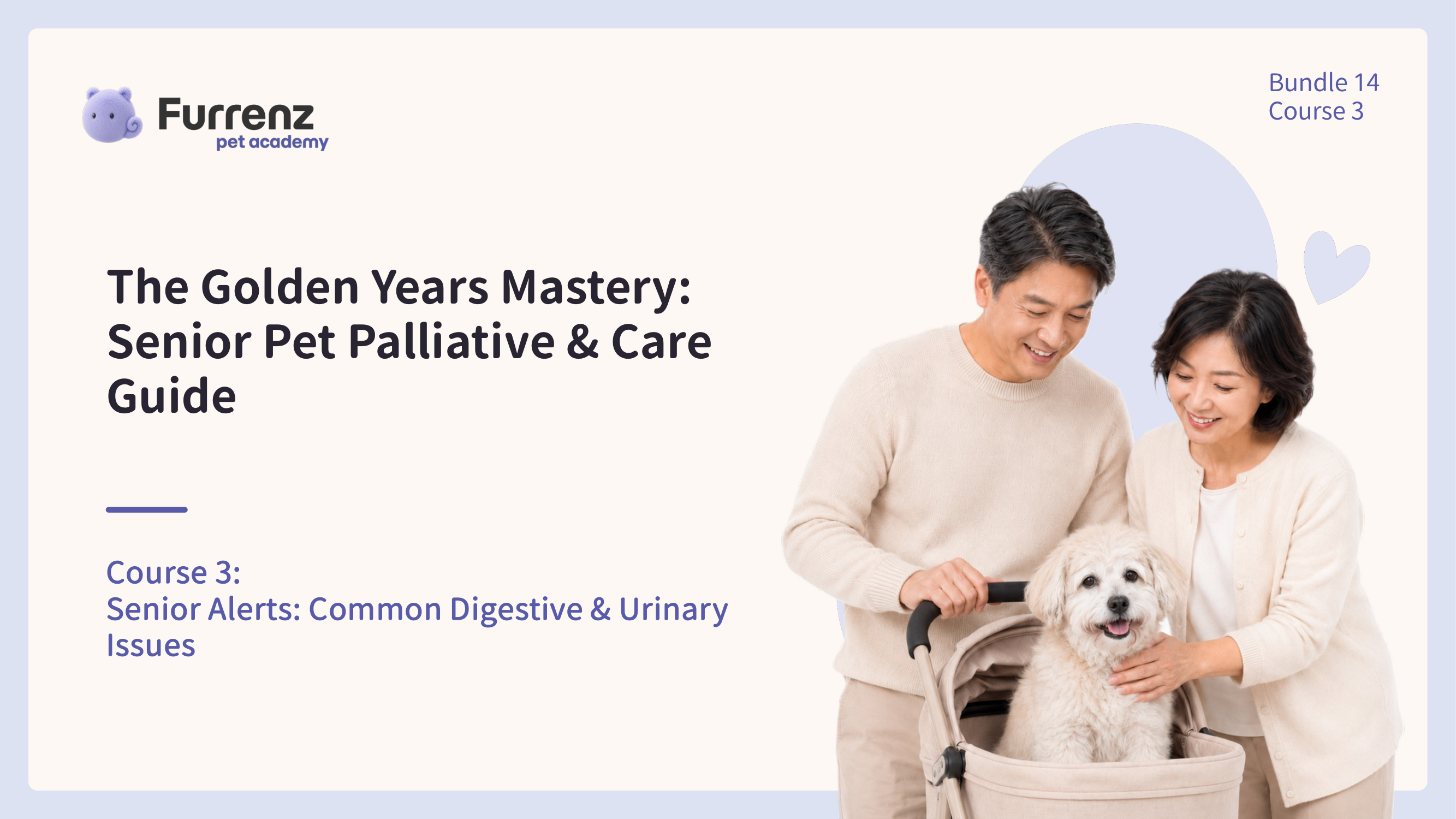 Senior Alerts: Common Digestive & Urinary Issues