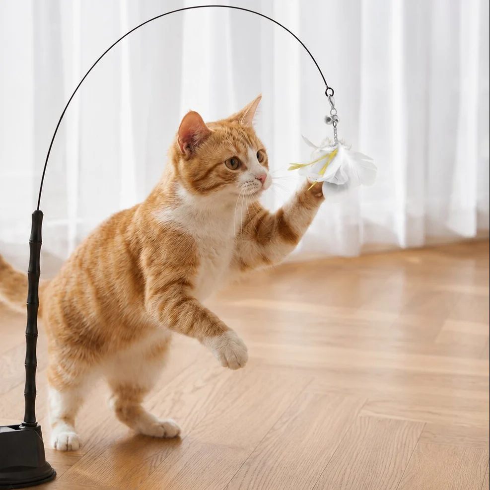 Self-Play Feather Toy Suction Cup Set