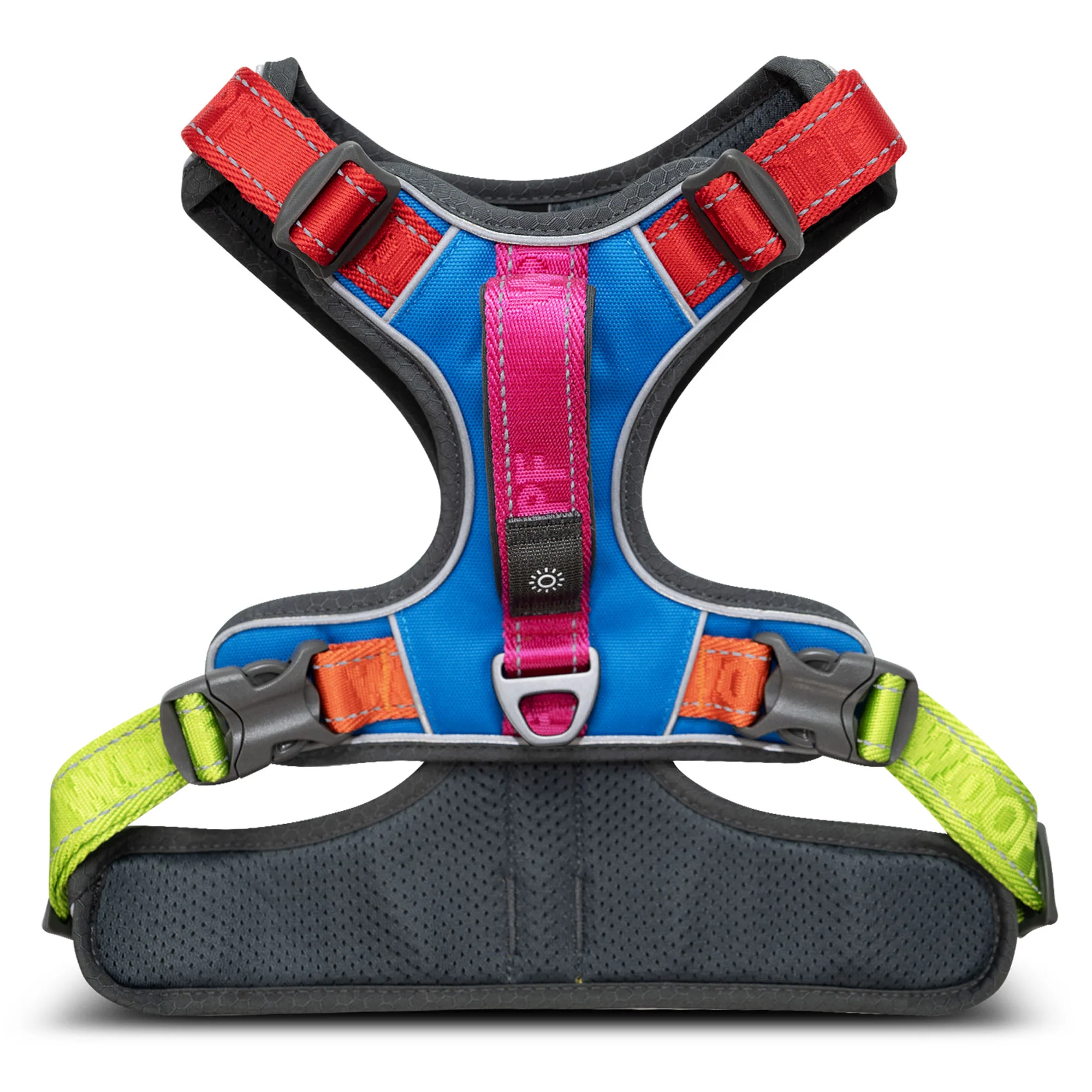 Explorer No-Pull Training Harness