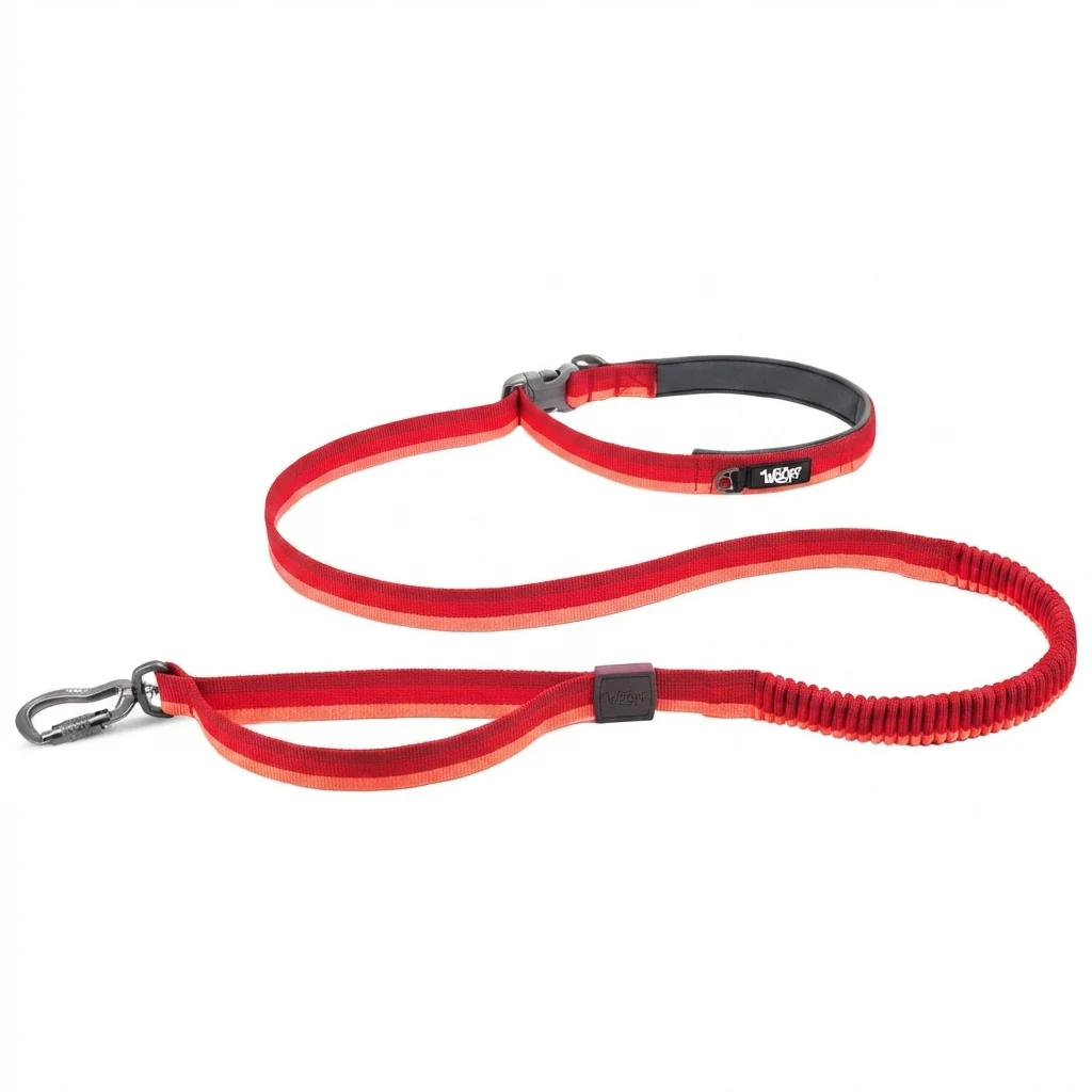 Explorer Hands-Free Training Leash