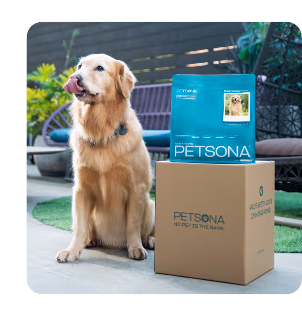 Petsona Gourmet Dog Food
