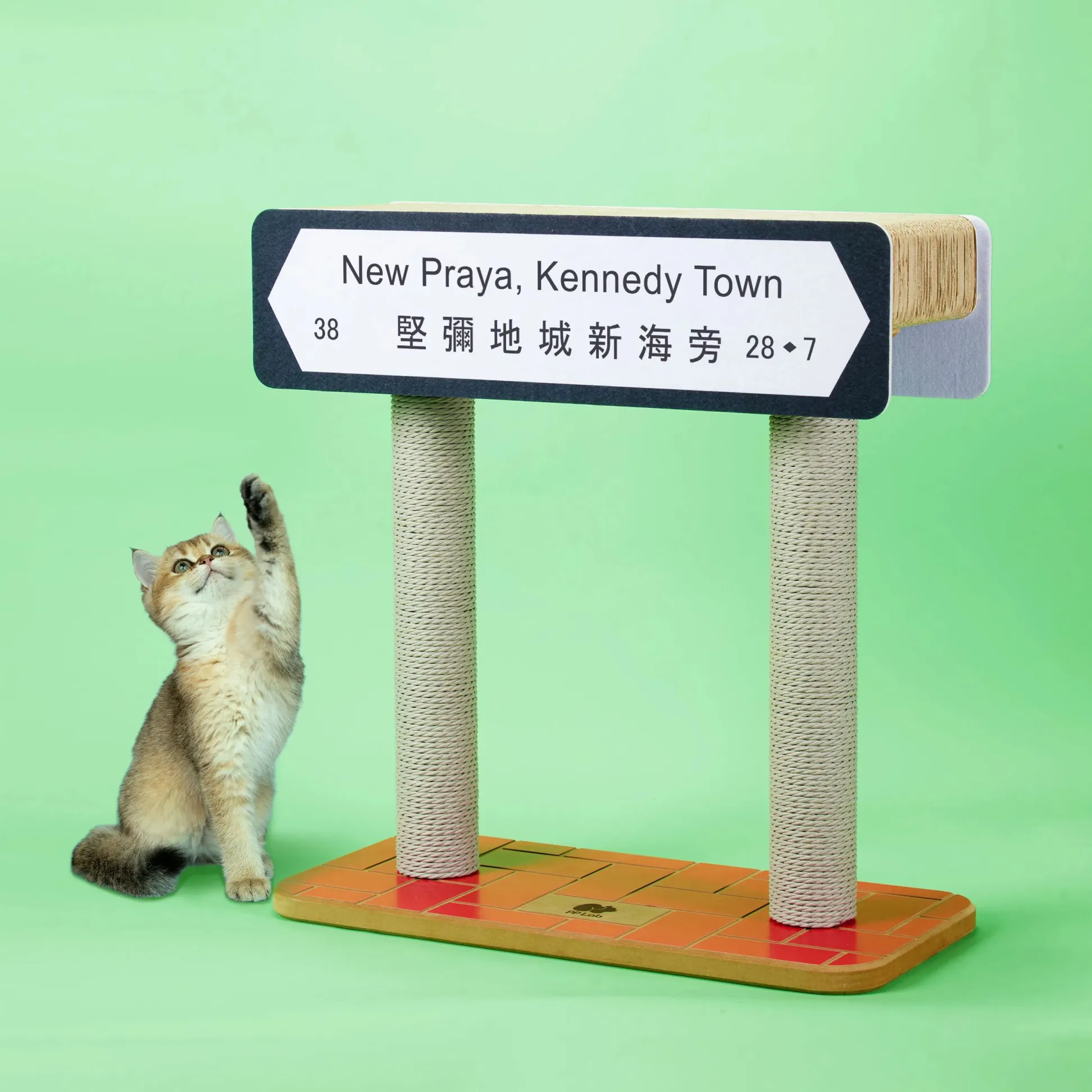 Hong Kong Street Culture | Hong Kong Street Name Cat Scratcher - Kennedy Town