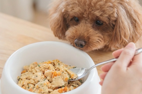 Furry Green Premium Triple-Protein Fresh Dog Food Limited Bundle (12-Pack: Lamb, Beef, Chicken)