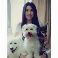 Angge
