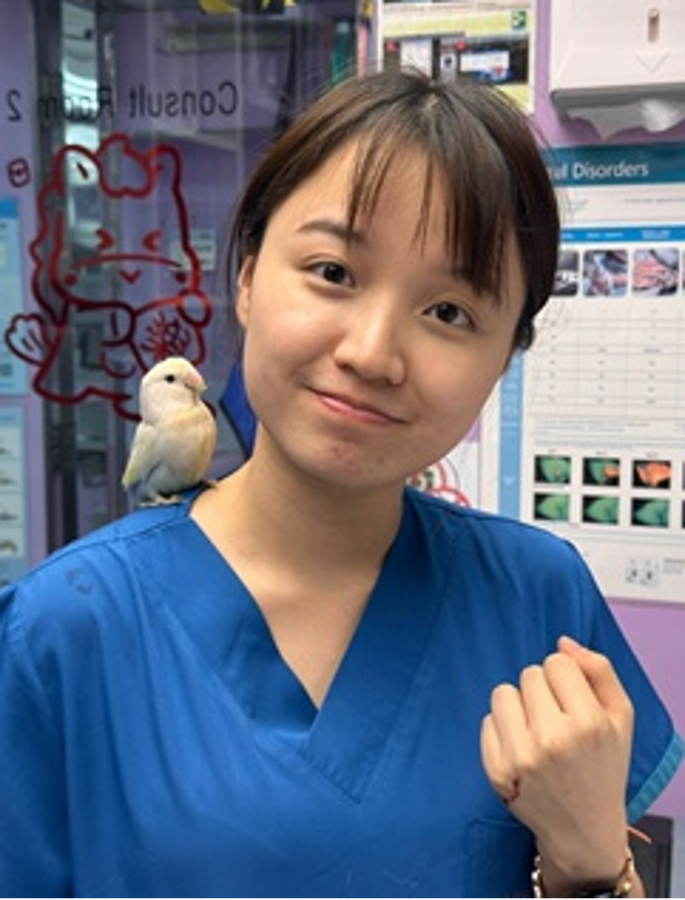 Ka Yan